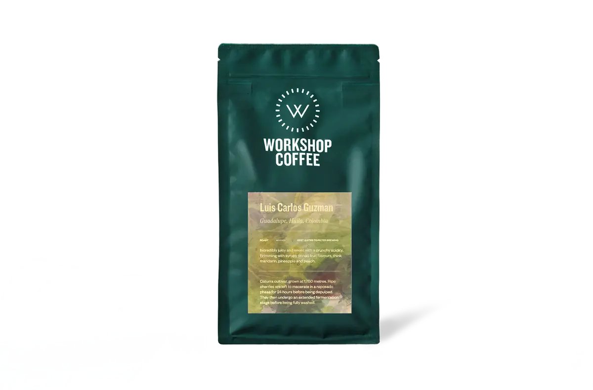 Luis Carlos Guzman - Filter - 250G 1