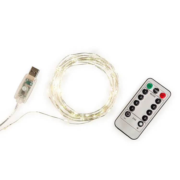 Extra Long! Silver String Lights 1