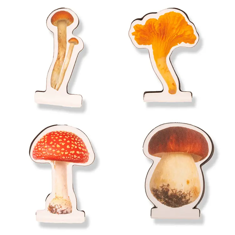 Mushroom Magnetic Bookmarks 1