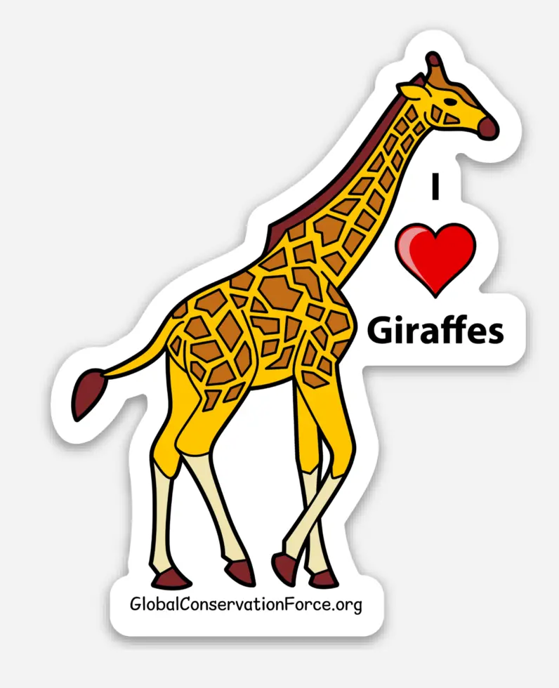 I Love Giraffe - Die Cut Vinyl Sticker 1