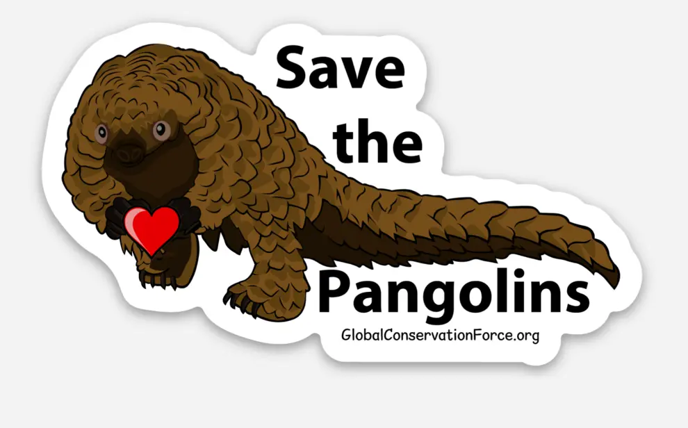Save The Pangolins - Vinyl Die Cut Sticker 1