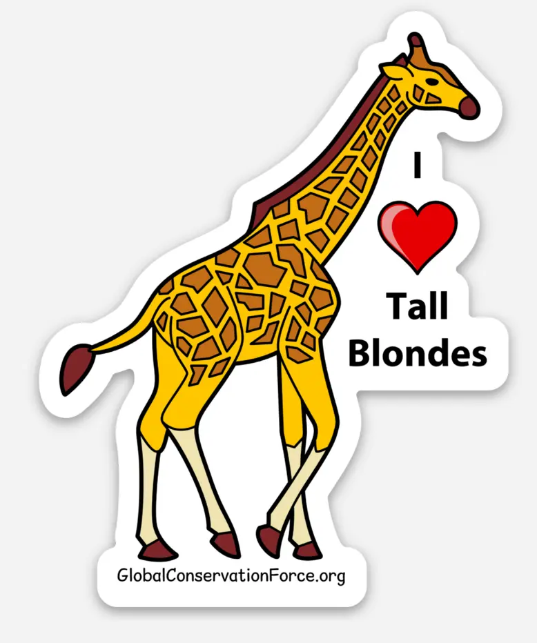 I Love Tall Blondes (Giraffe) - Vinyl Die Cut Sticker 1