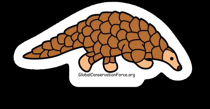 Pangolin - Vinyl Die Cut Sticker 1