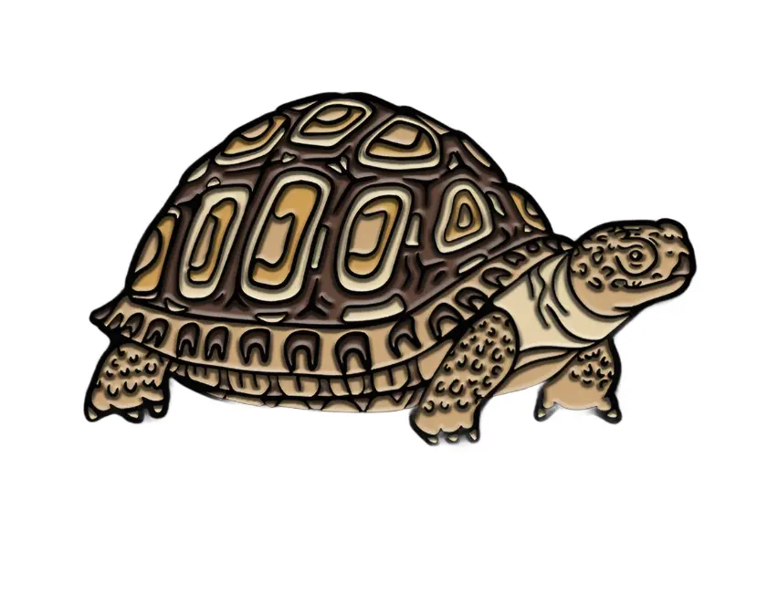 Leopard Tortoise Pin 1