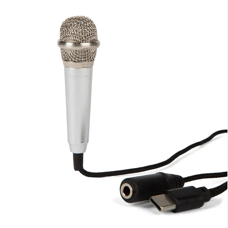Plug & Play Microphone 1