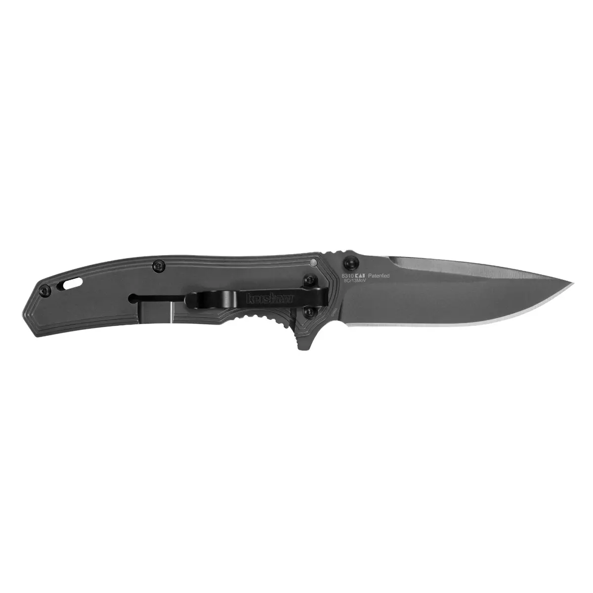 Kershaw 8310 Fringe 1
