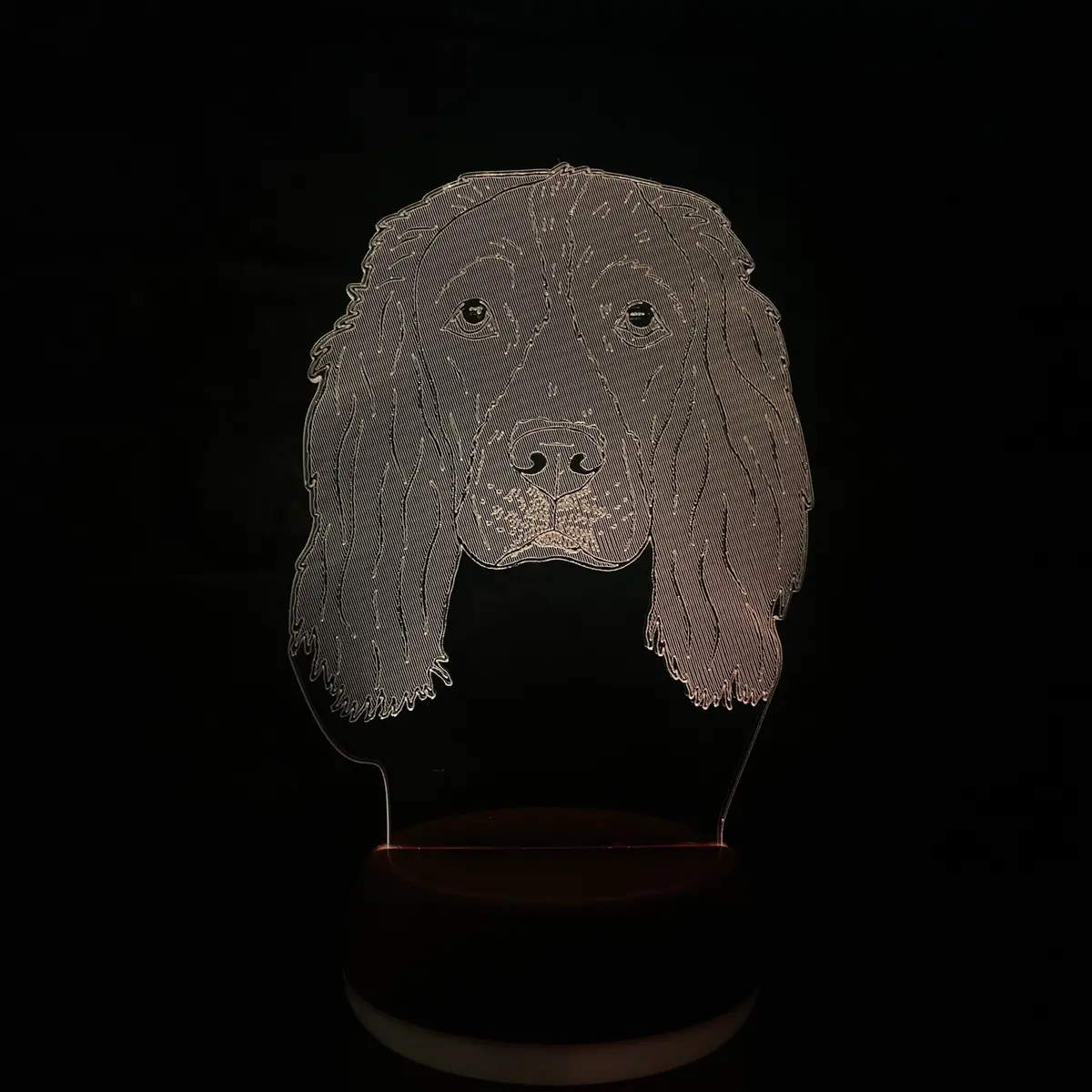 Springer Spaniel Led Lamp Night Light 1