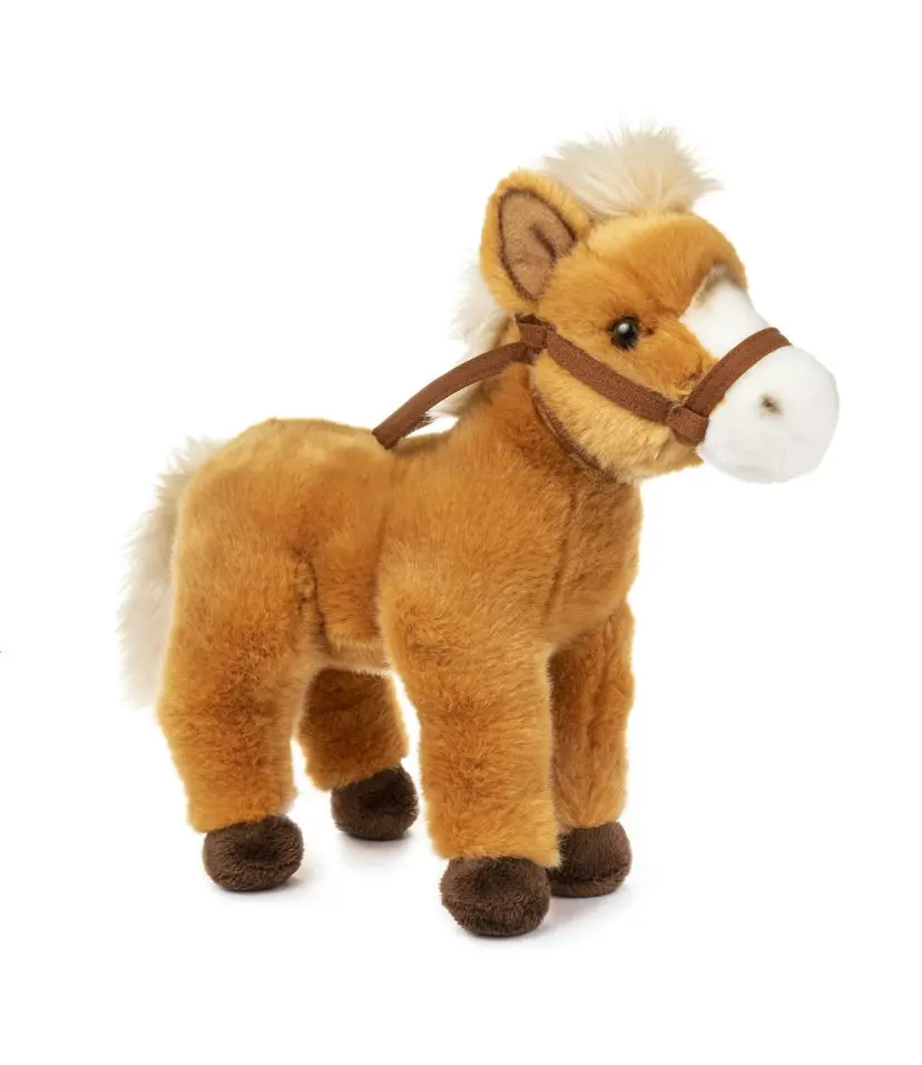 Horse Adoption Kit 1