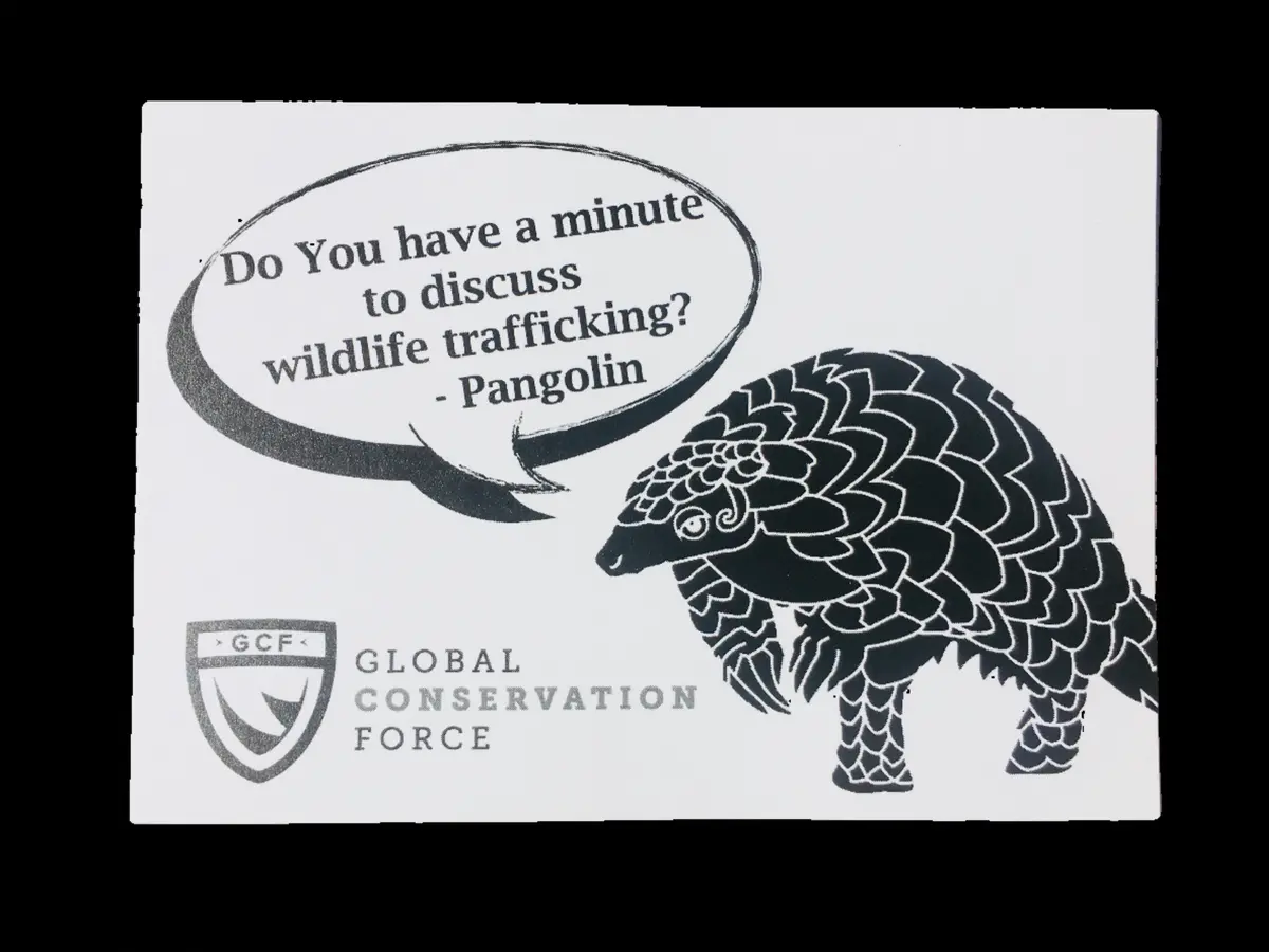 “Pangolin Discusses Trafficking” Sticker 1